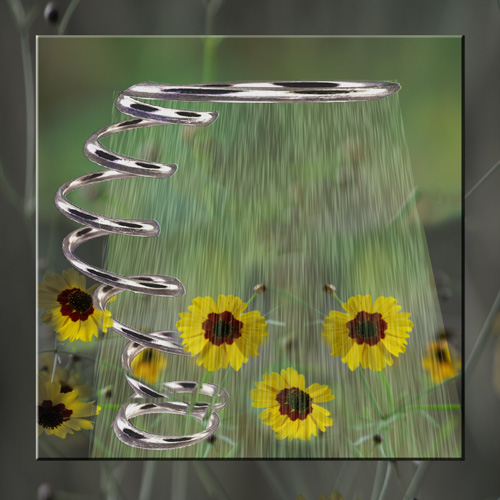 Spring Rain