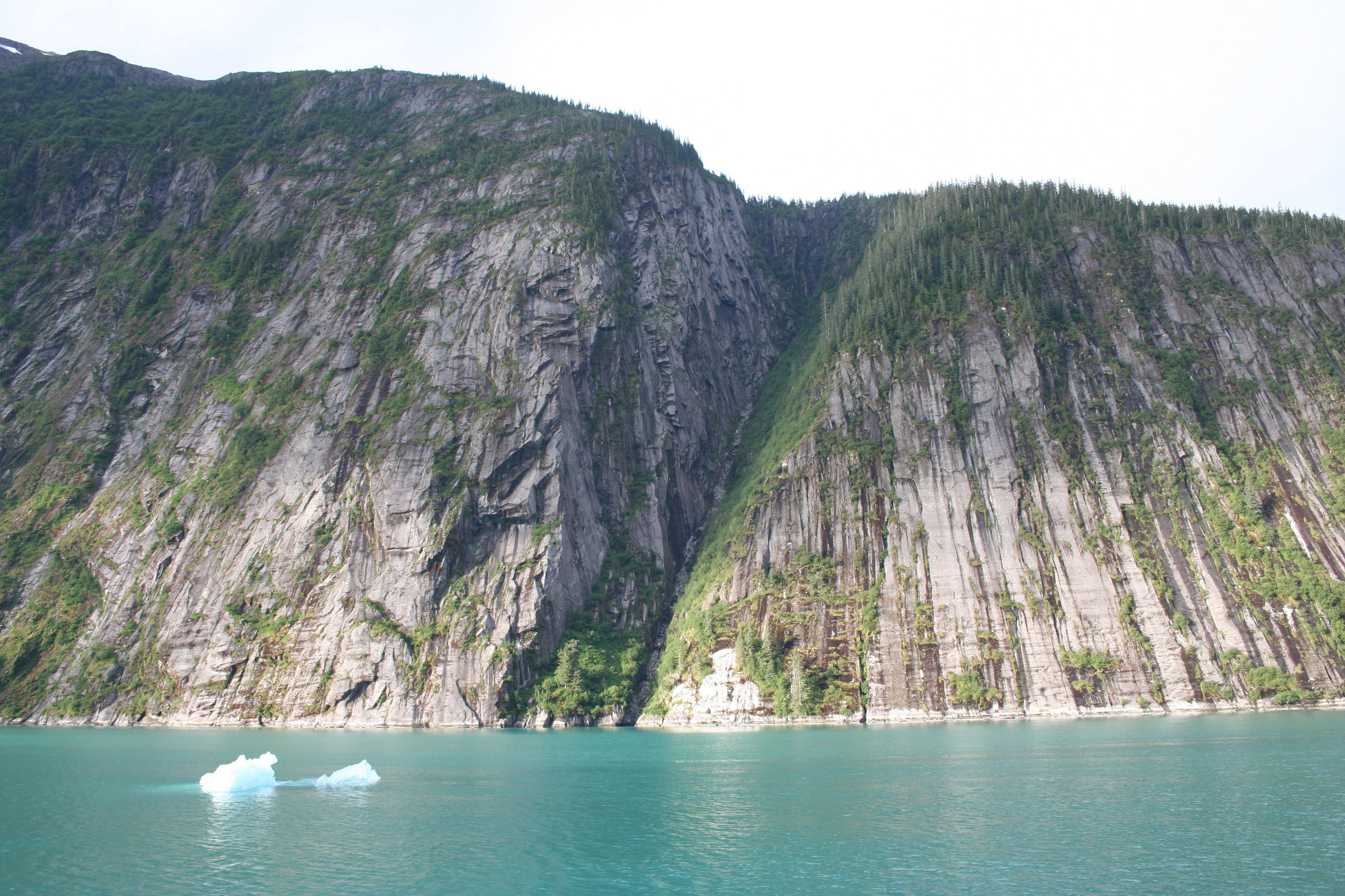 Our 1st iceberg.