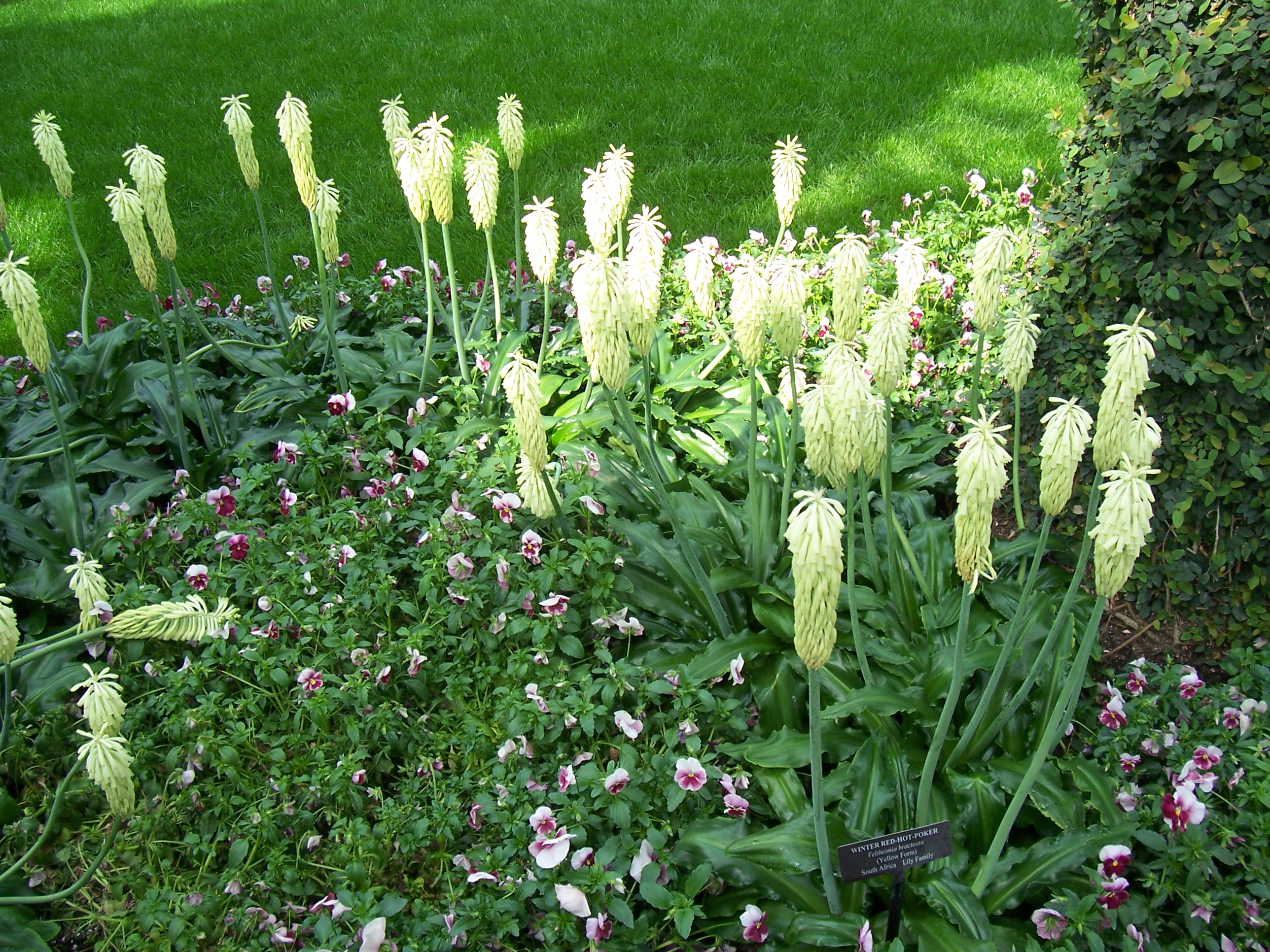 100_8336.JPG