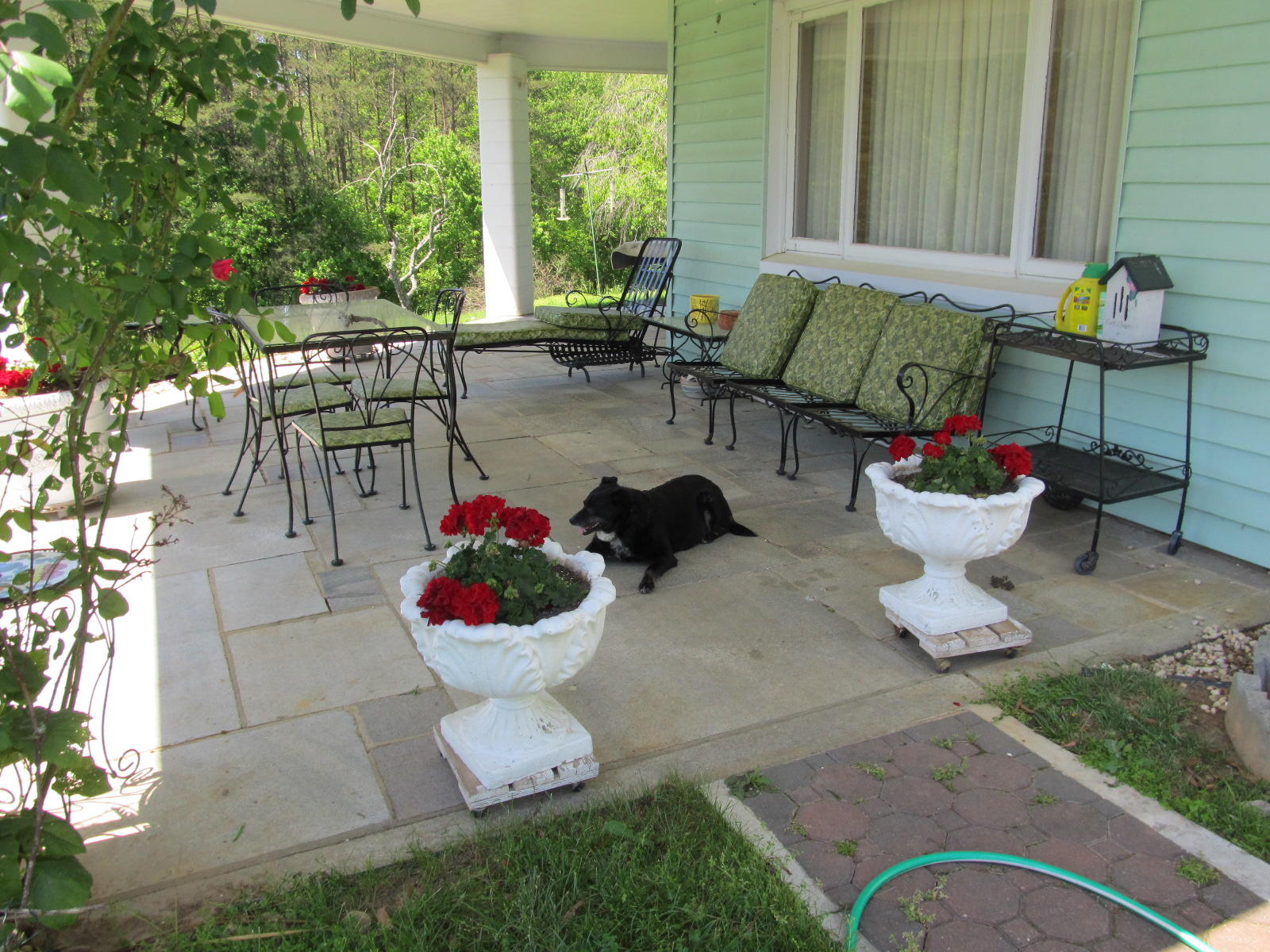 Princess Queen of the Patio