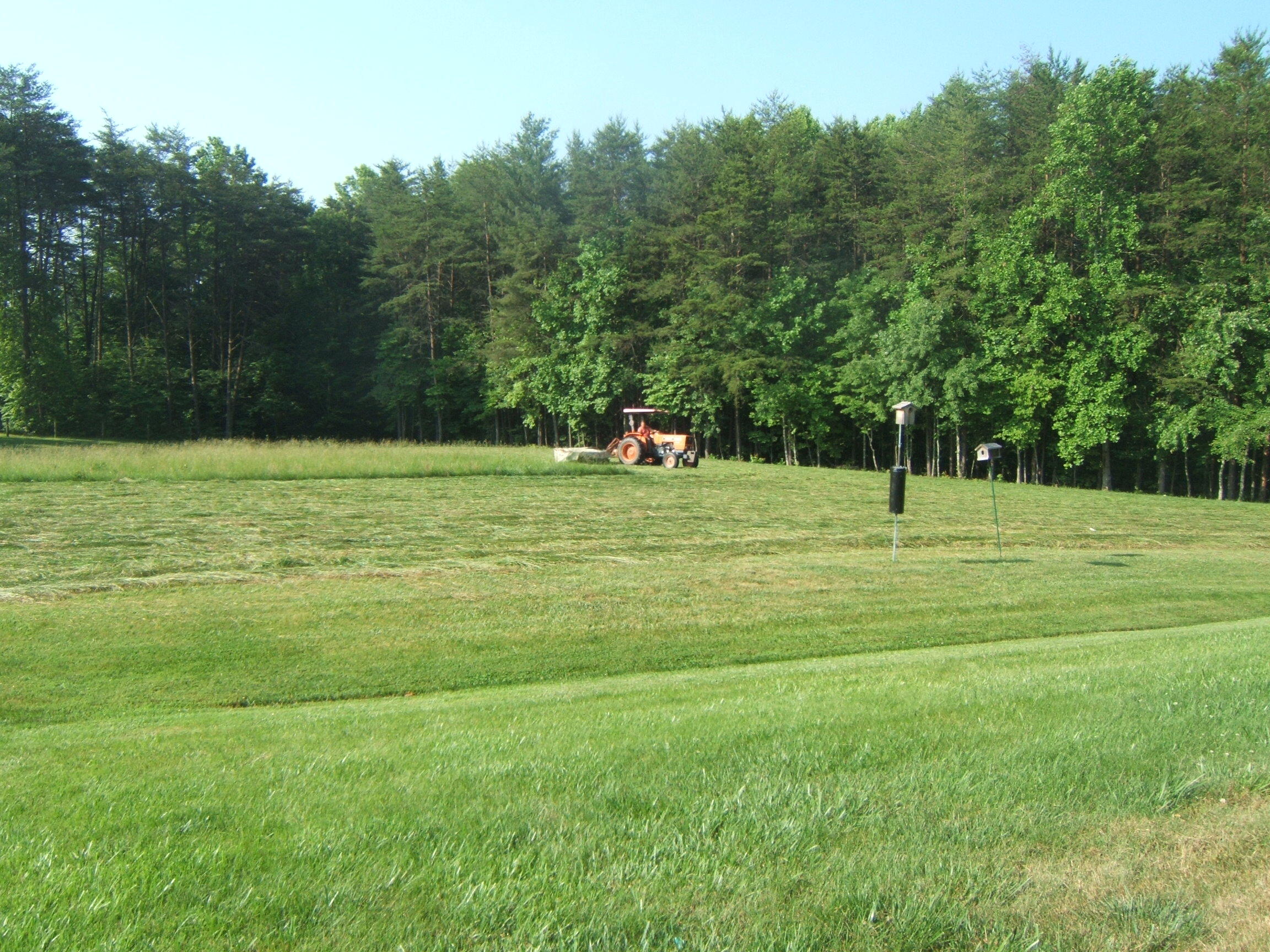cutting hay