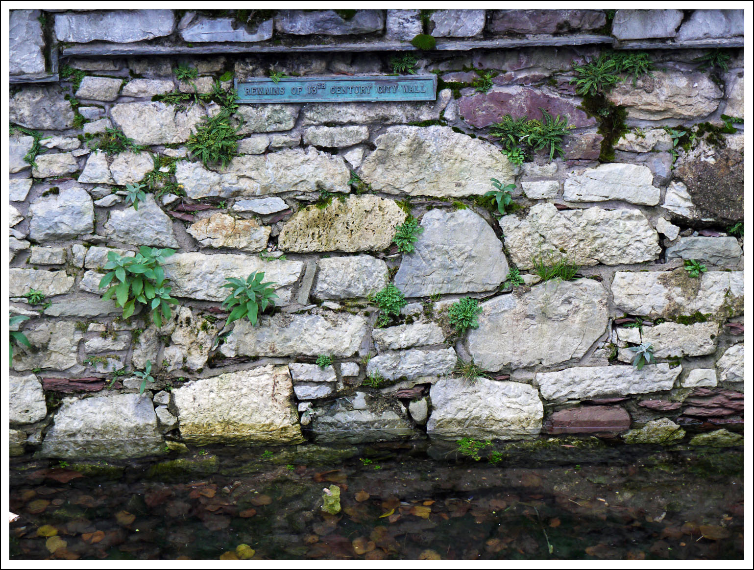 13th Century Cork City Wall