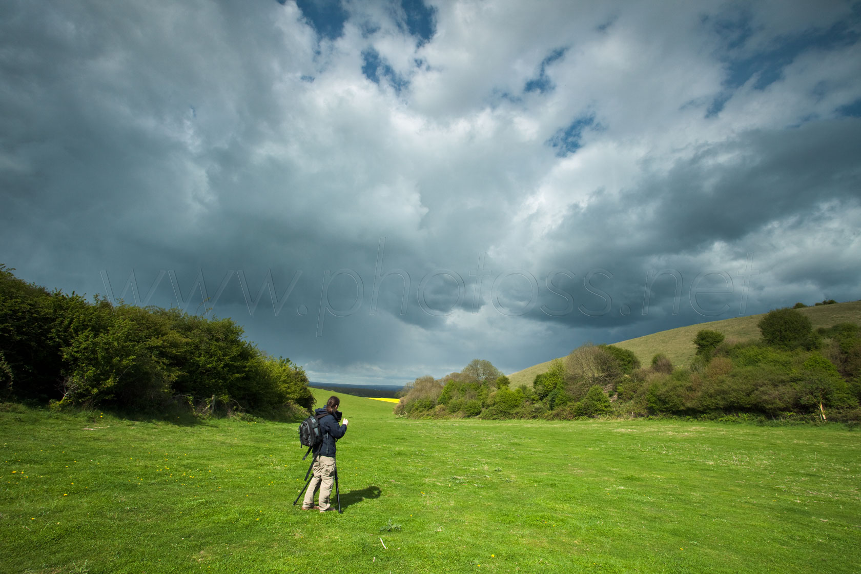 The Cloud Whisperer