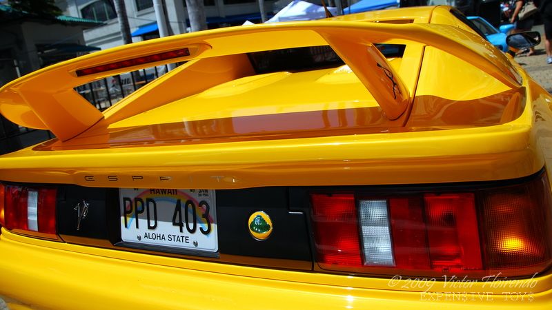 DSC_4884.JPG