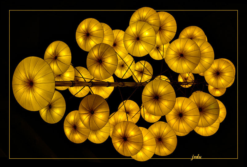 2nd: barking pumpkins<br>by jrdu