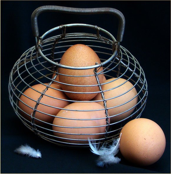 Free Range <br>by Jill Rex