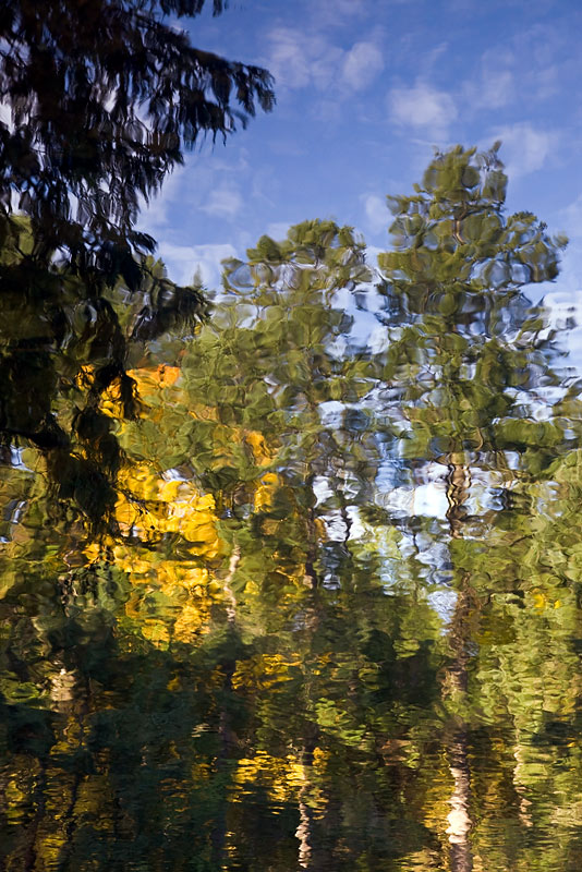 Impressionist Fall