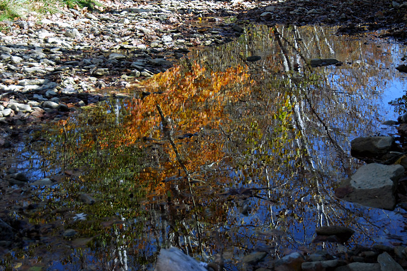 Rippled Reflection