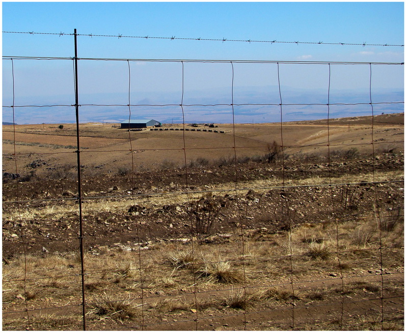 African Farm<br> By Jill Rex