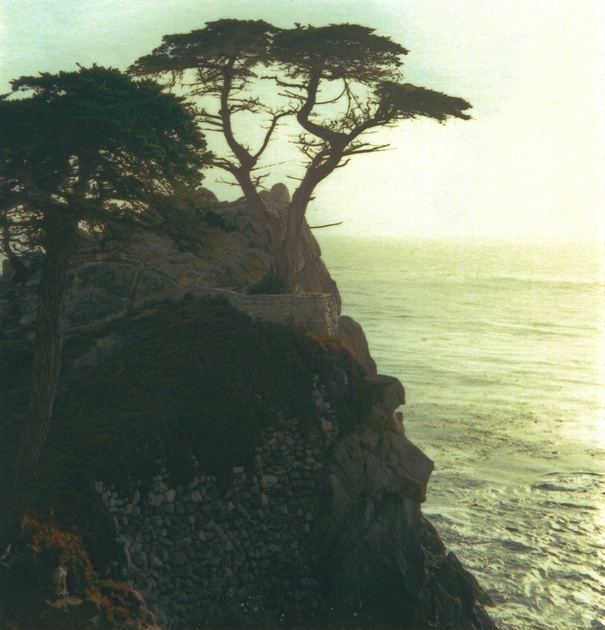 Big Sur<br>by TonySx