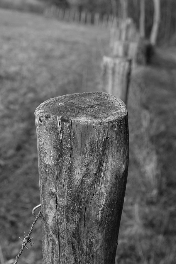 Da fence by geetwee