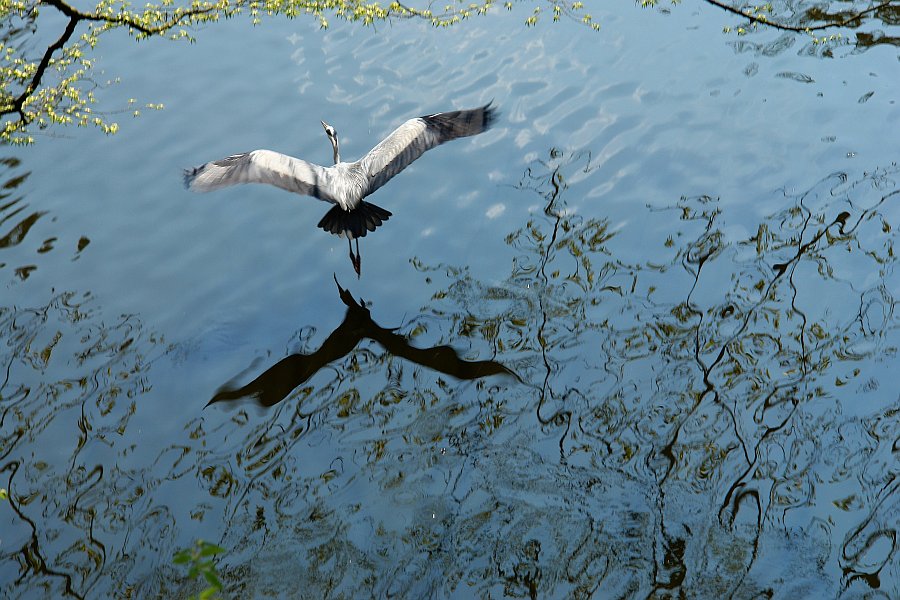 In flight by geetwee