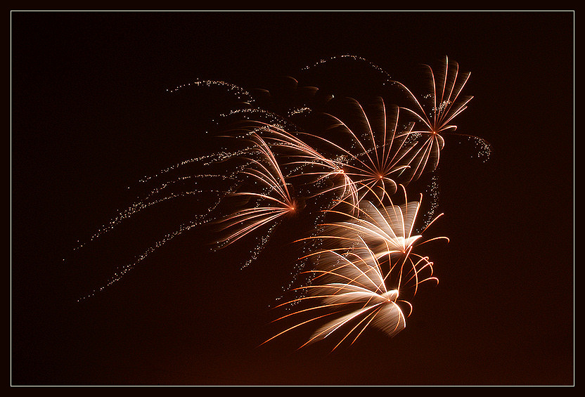 Happy 2009<br><b>HM</b>