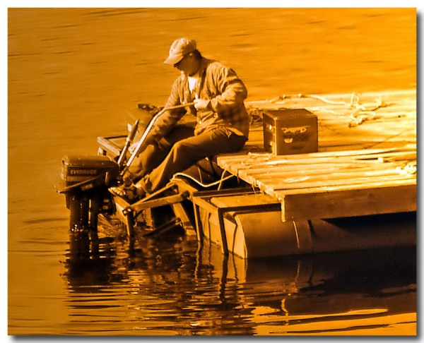 On golden Pond<br>by Norbert