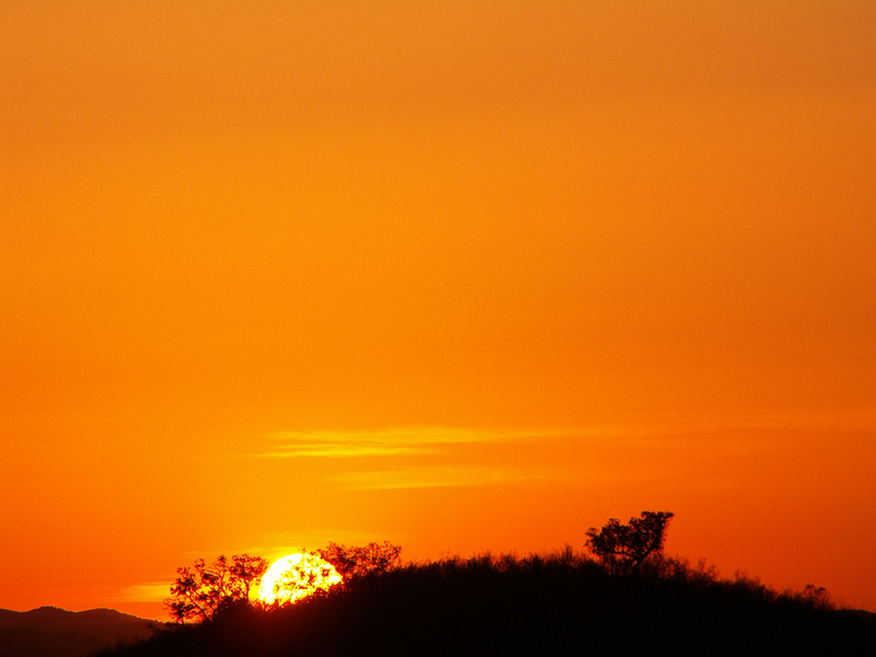 Golden Sunset <br> by valterj