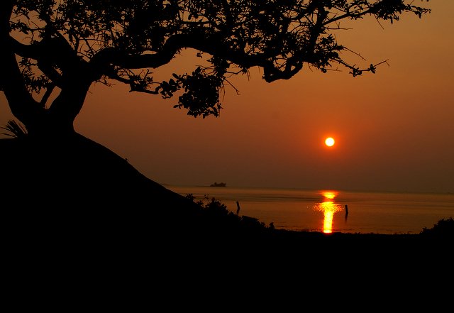 tranquility