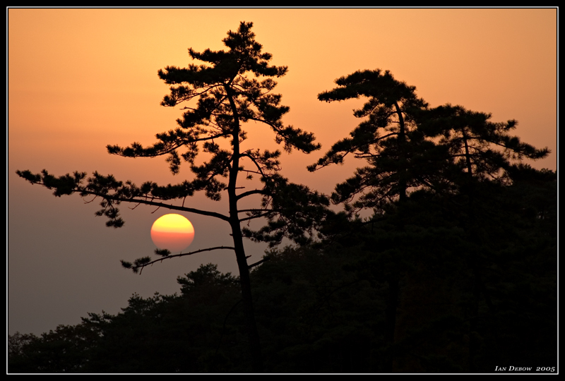 <b>5th Place</b><br>GoldenDisk from a Mountain Peak<br>by Ian DeBow