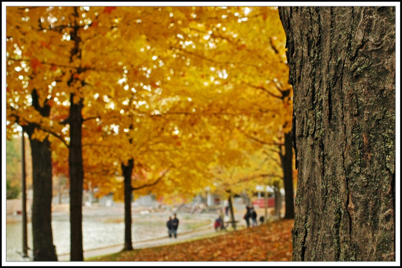 Autumn mood