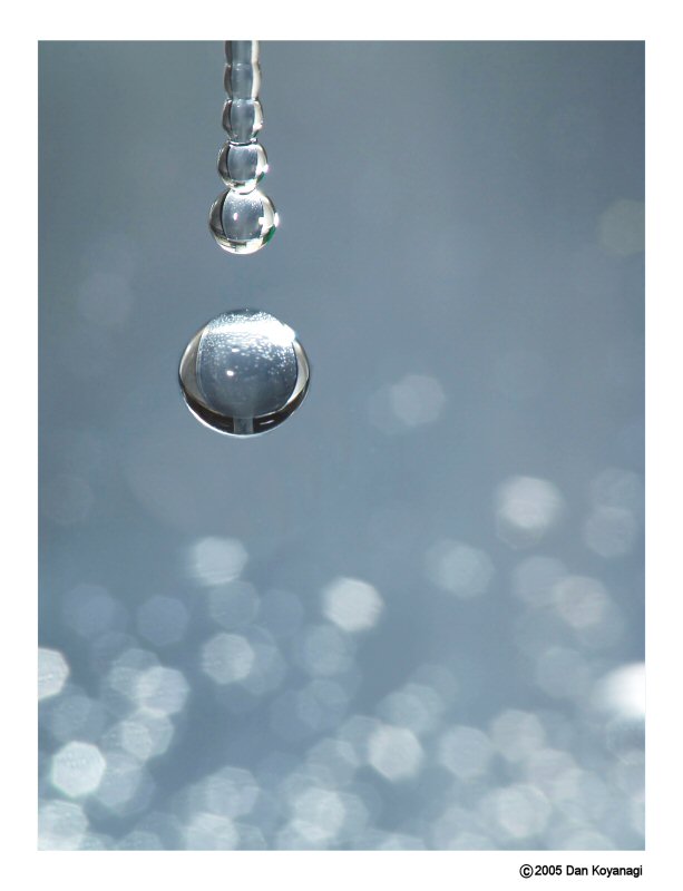 <b>10th Place</b><br>Drip*<br>by Dan Koyanagi