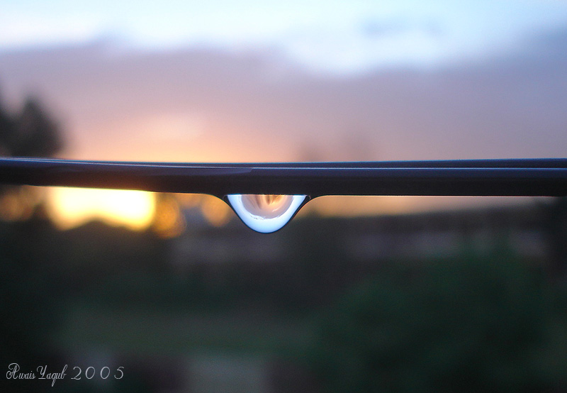 Depth of feeling<br>by Awais Yaqub
