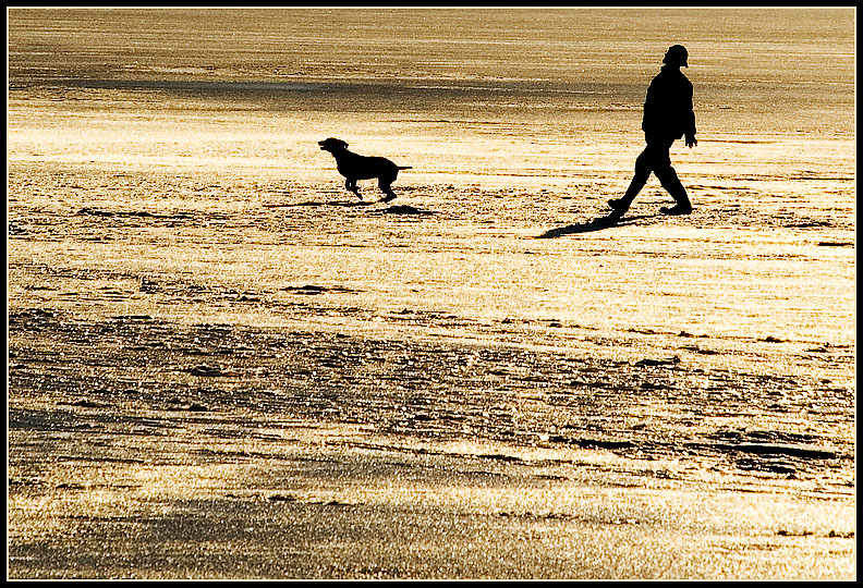 (7th/Tie) a man and his dog<br>by Katherine, aka sleepwalker