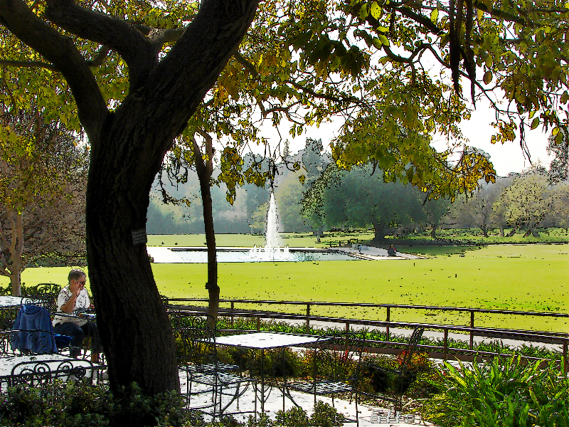 TEA TIME AT THE PARK<br>by Older than dirt