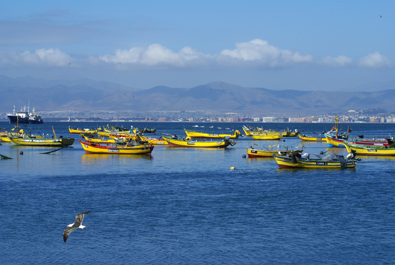 Summer in the Bay by Cata