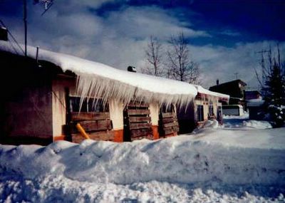 winterhouse2.jpg
