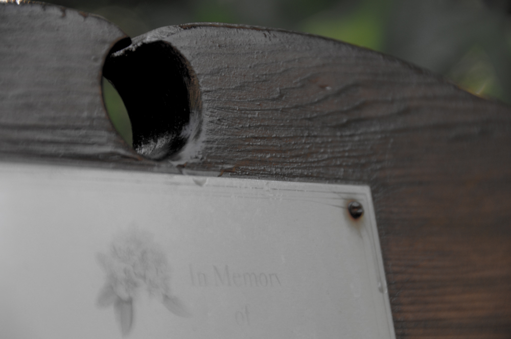 in the garden, there is a bench...