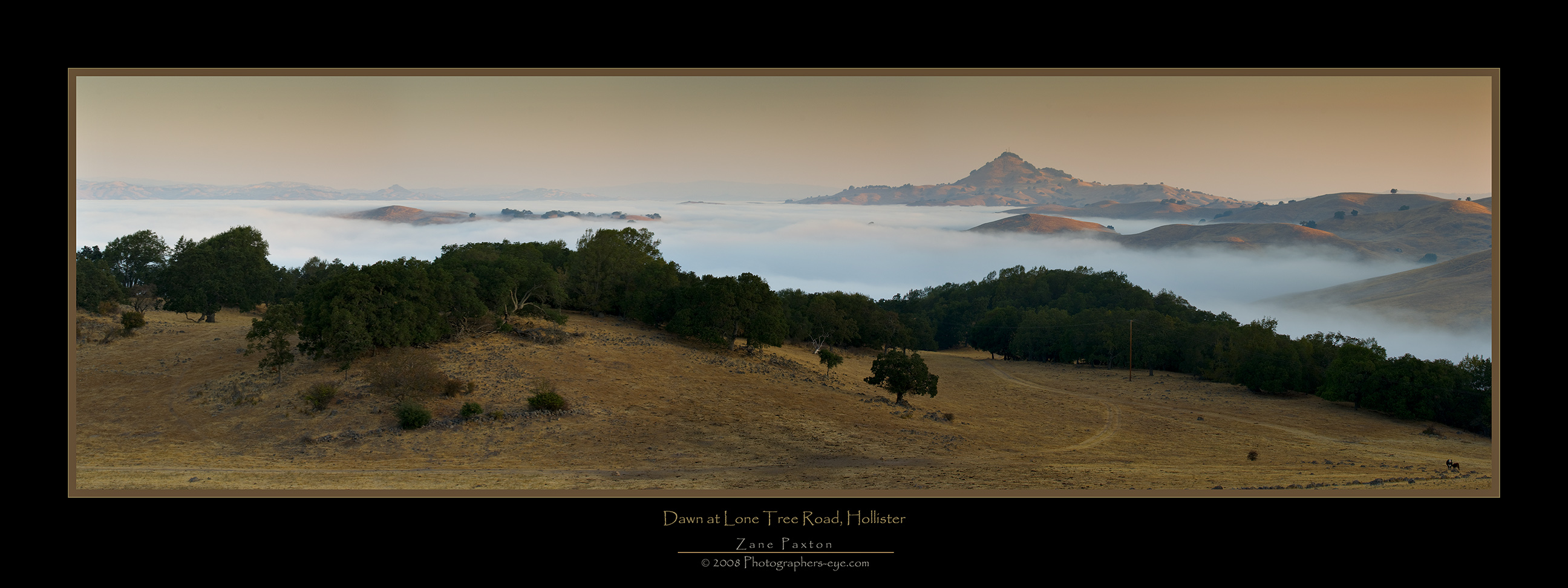 Lone Tree Road Dawn Panorama