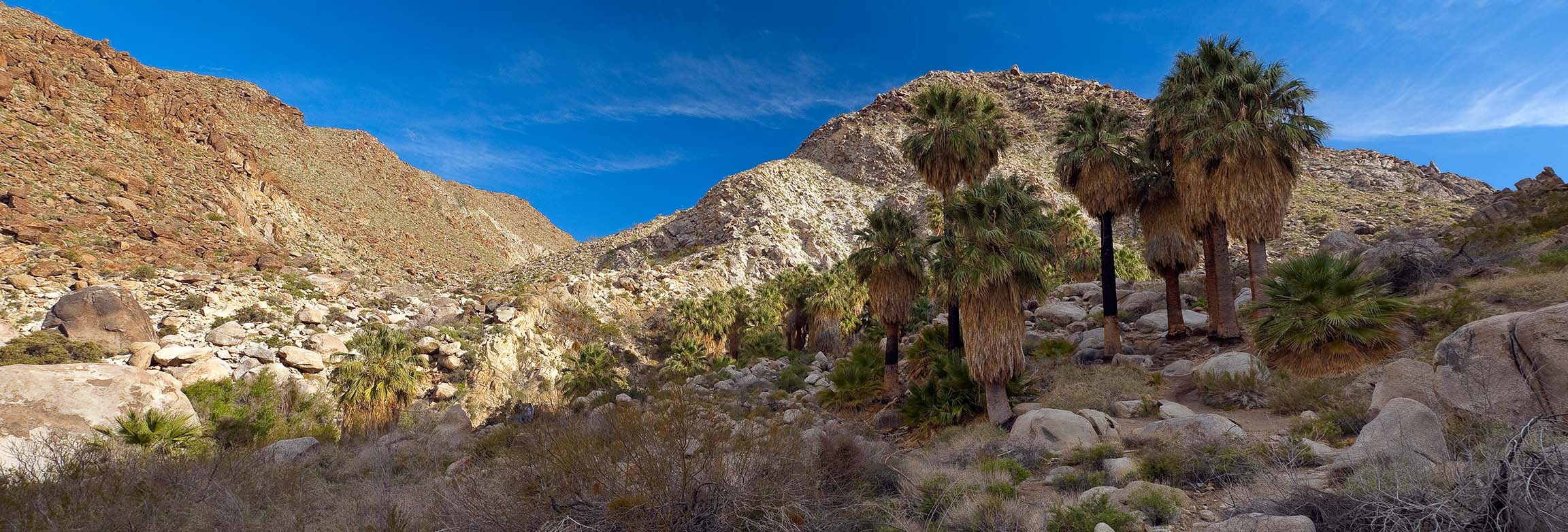 49 Palms Oasis Pano-2