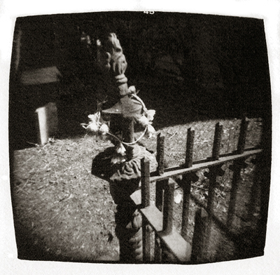 o2/07/176907/1/96830804.KsA0mX1p.1_anelson_holga_dolores.jpg