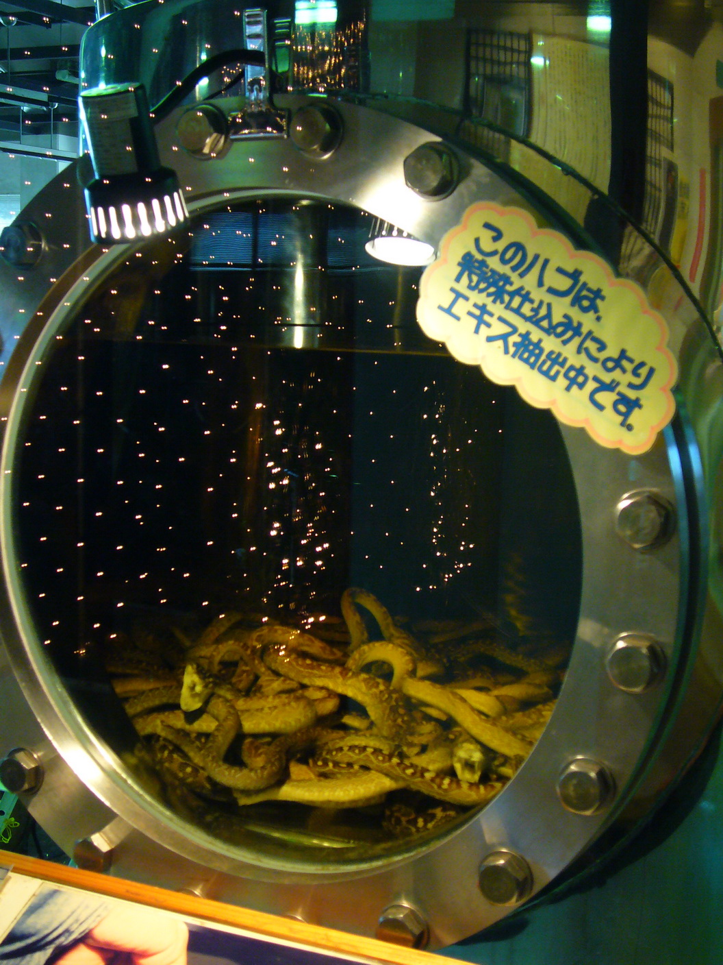 20081023068.JPG