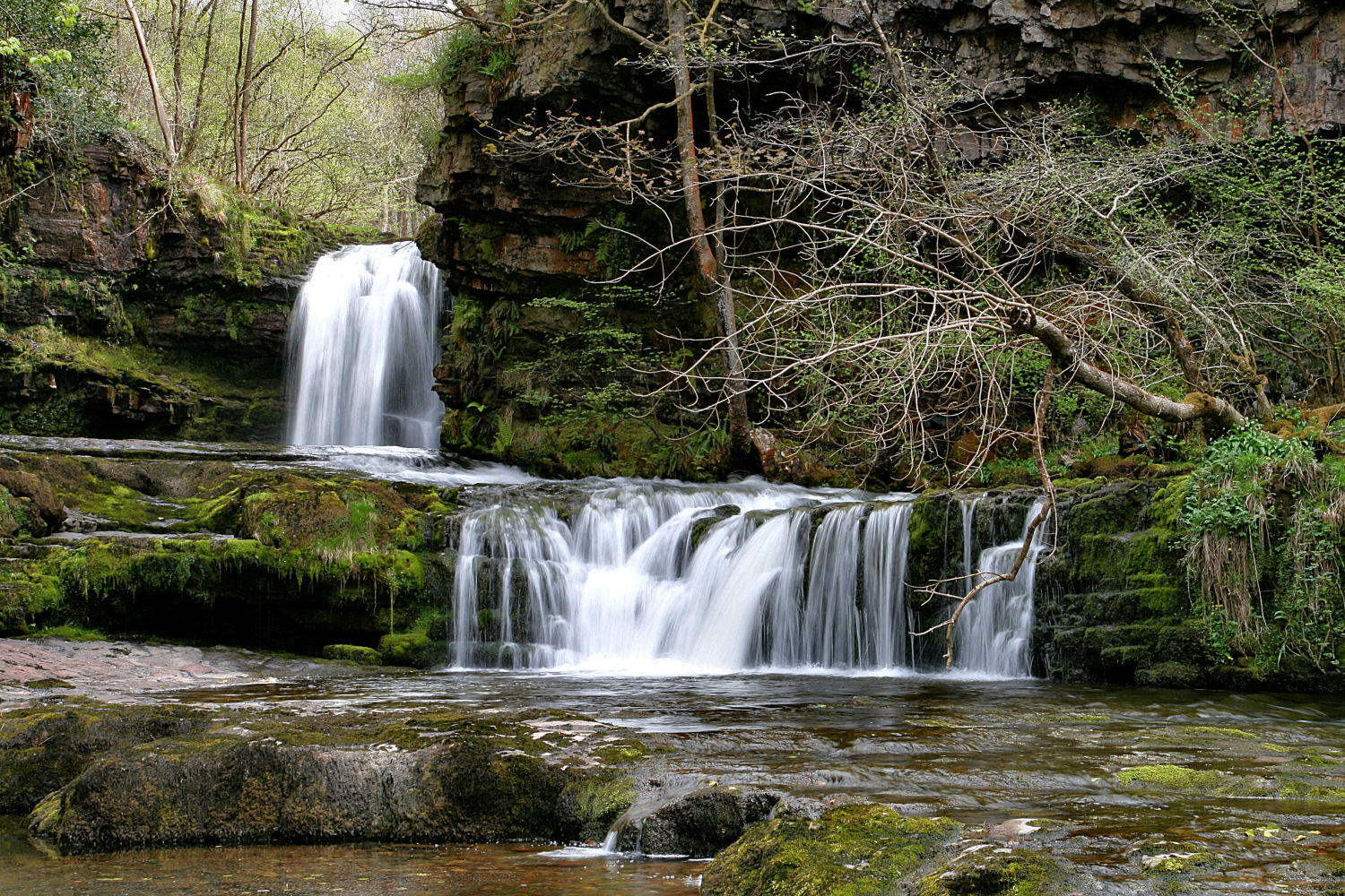 Taken near Glyn-Neath, South Wales.