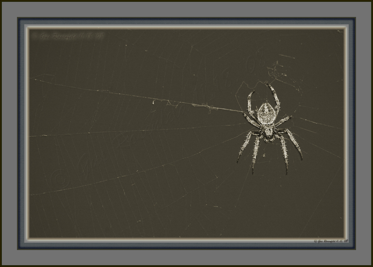 Just Hangin Out Post-Halloween