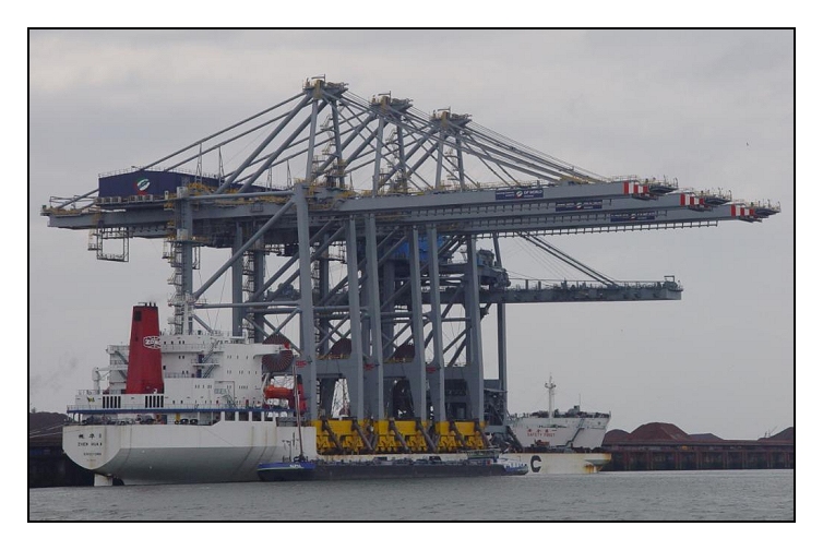 Zhen Hua 8