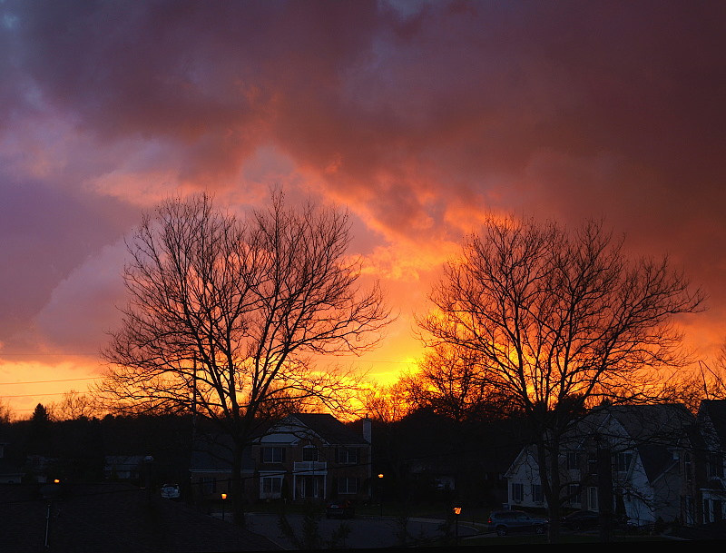 Trapped in suburbia -ArtP