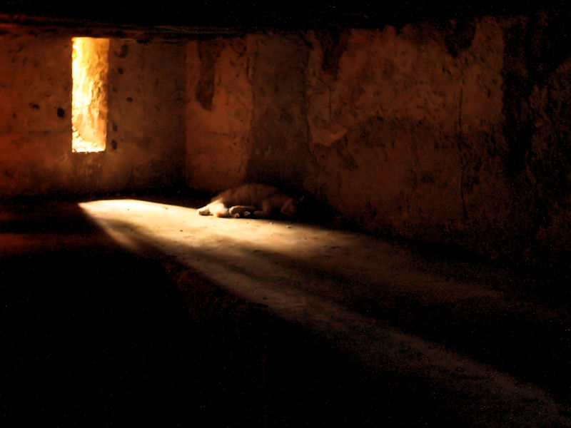 In the cave - Kleivis