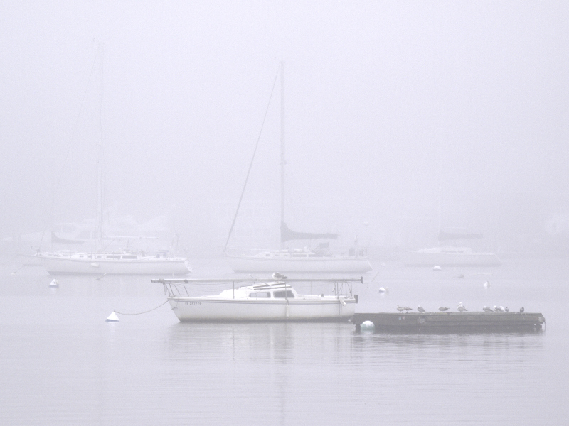 huntington harbor fog -ArtP