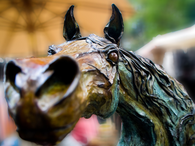 Nice Horsey...by Carlo