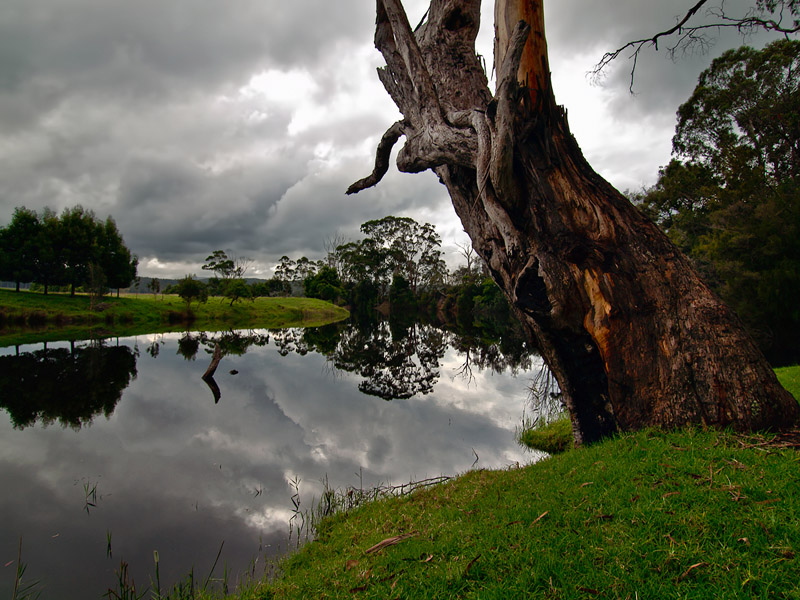 River reflections by Dennis