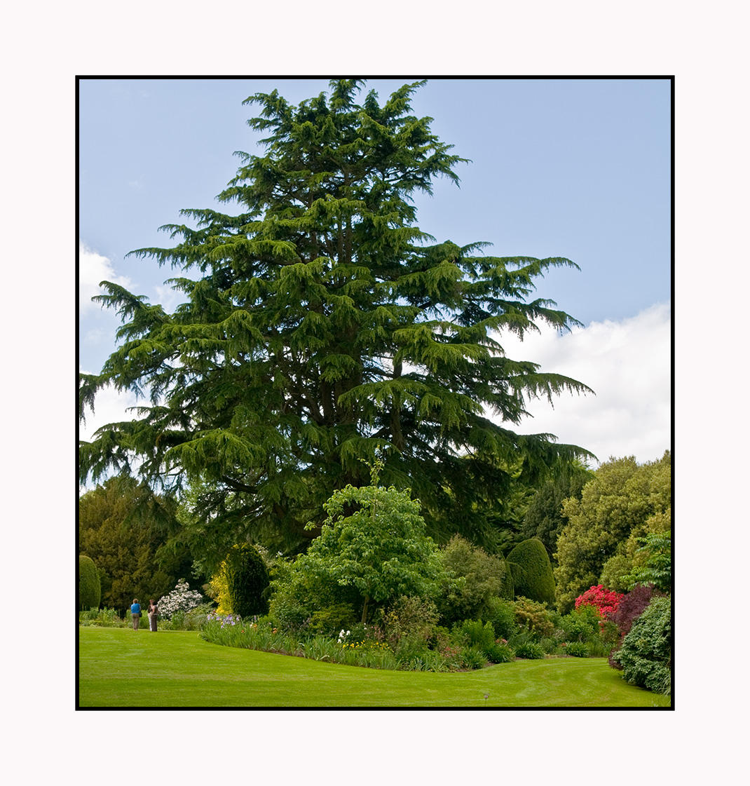 Altamont-Gdns