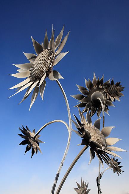 BM08-061.jpg