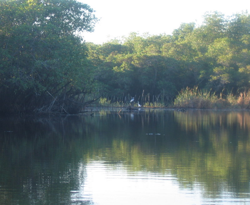 Guatmala 2010