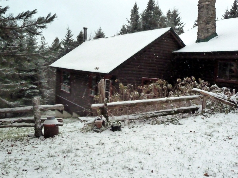 P1000482.JPG