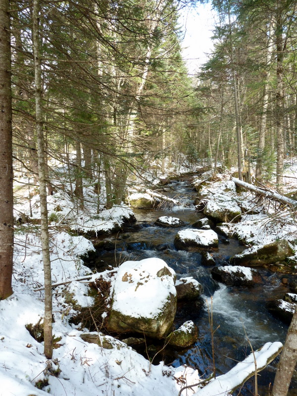 P1000538.JPG