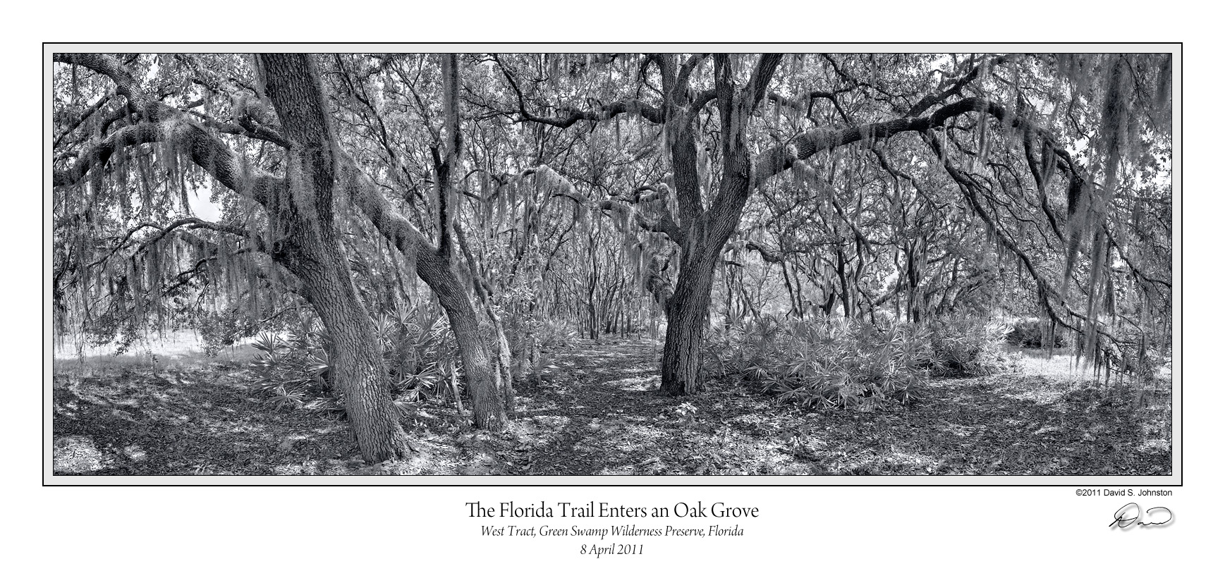 Florida Trail Enters Oak Grove BW.jpg