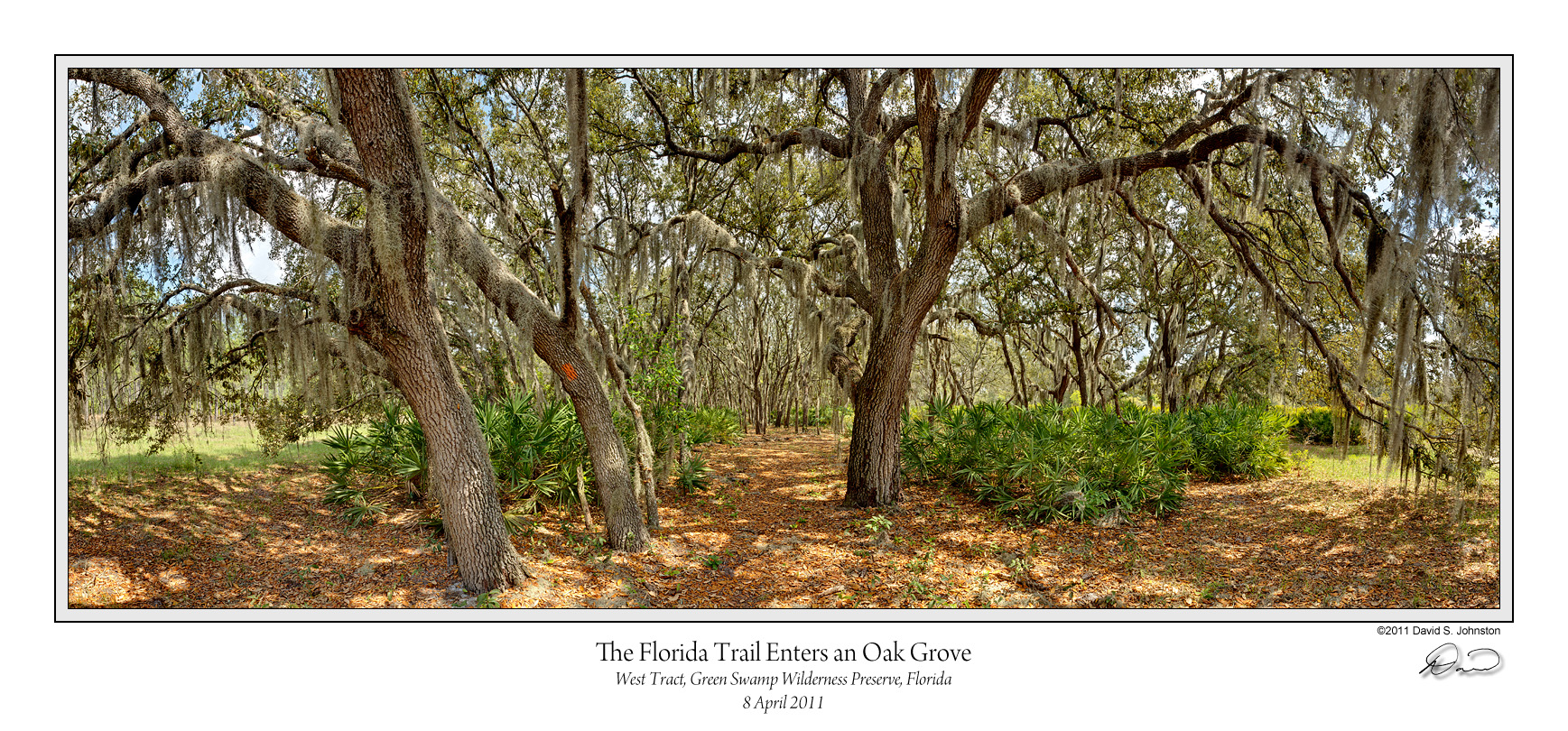 Florida Trail Enters Oak Grove v2.jpg