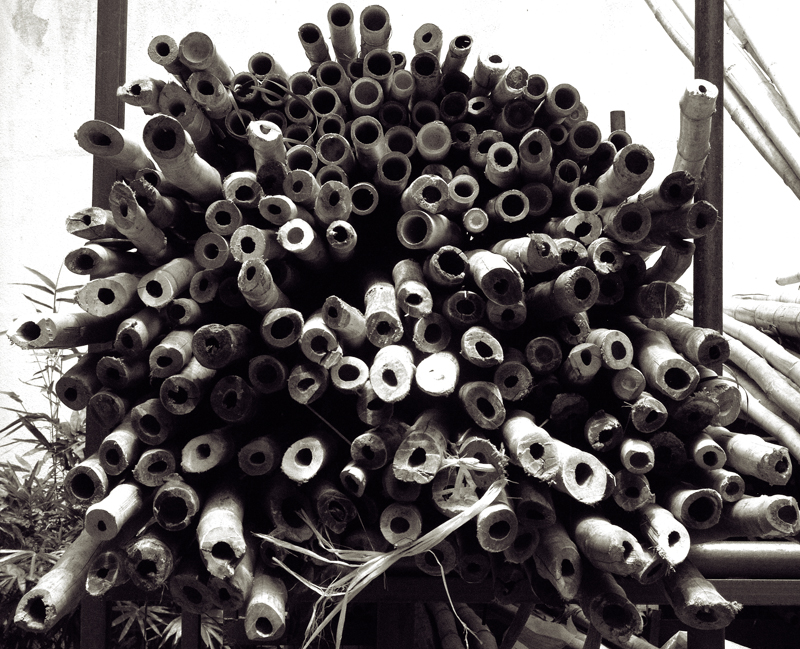 Stack of Bamboo Kowloon Park