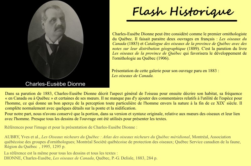 Charles-Eusbe Dionne